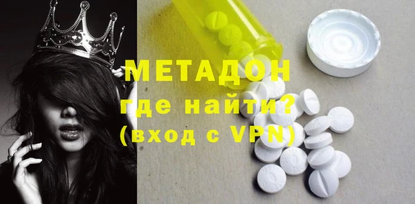 индика Богданович
