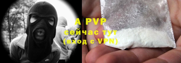 спиды Новозыбков