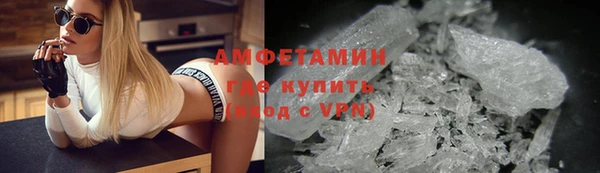 индика Богданович