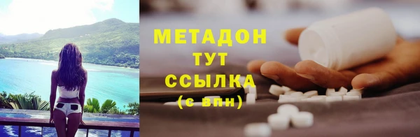 индика Богданович