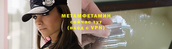 индика Богданович