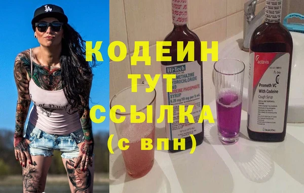 индика Богданович