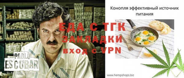 индика Богданович