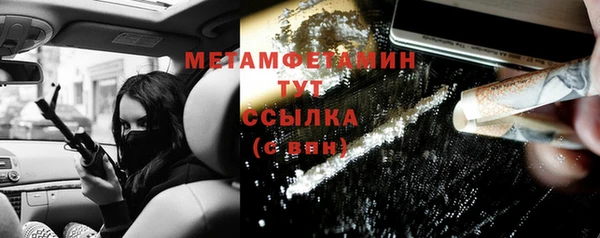 индика Богданович