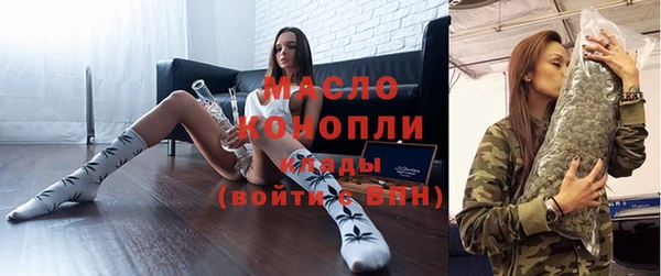 индика Богданович
