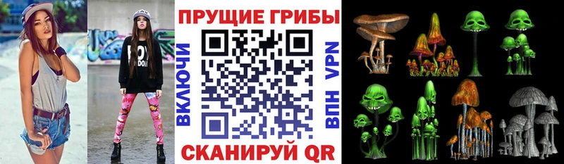 Псилоцибиновые грибы мухоморы  сколько стоит  Джанкой 