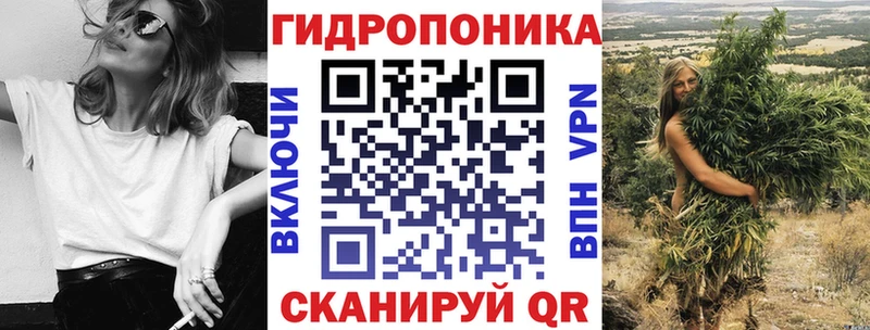 Каннабис OG Kush Джанкой